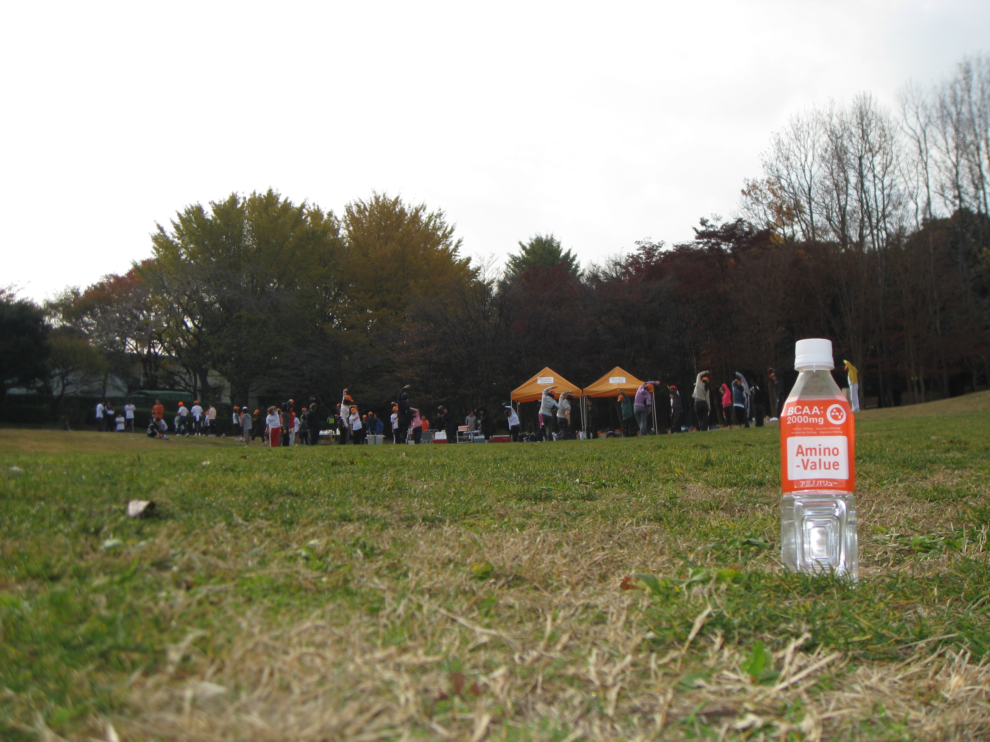 20071202avrc 012.jpg